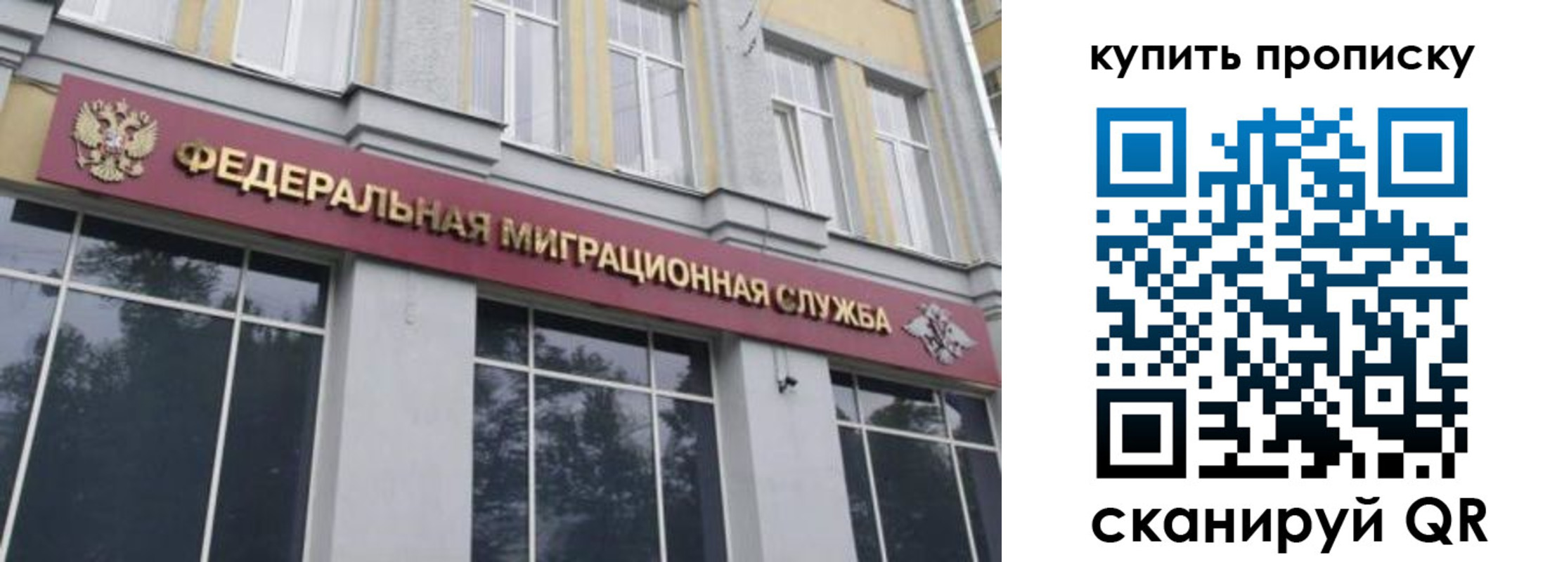 прописка поиск в Белёве